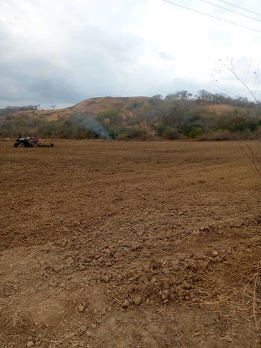 Imagen 18 de 28 de Finca En Venta En El Estado Guarico