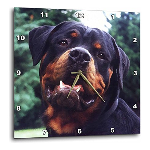 Dpp 4377 3 Rottweiler Reloj De Pared Retrato 15 Por 15 ...