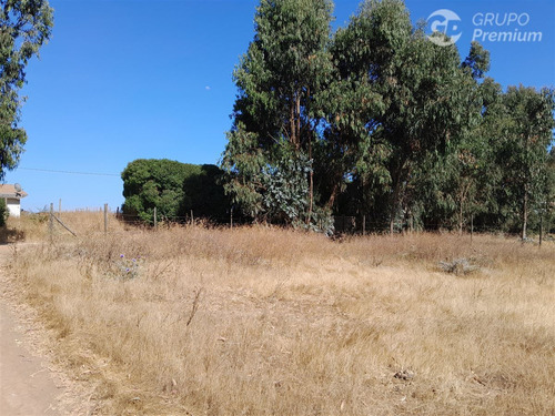 Agrícola En Venta En Quintero