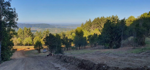 Parcela 5000 M2 En Potrero Alto, Valdivia.