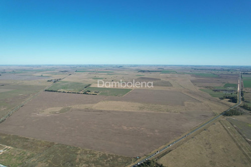Imagen 3 de 27 de Terreno Campo En Venta En Carmen De Areco, Resto De La Provincia, Buenos Aires
