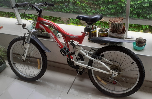 Bicicleta Montaña Winner Rodado 20, 6 Velocidades Y 2 Amorti