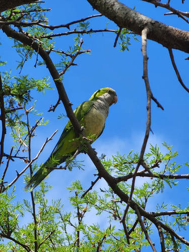 Apart Club San Pedro Rio, Naturaleza Y Relax