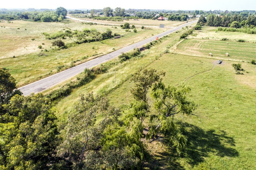 Chacras Venta 4,7 Has Residenciales-productivas Carmelo