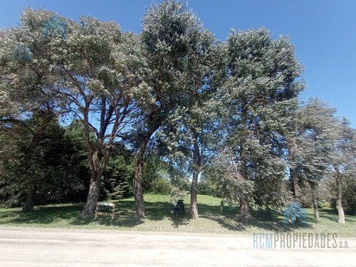 Venta Lote Coronel Brandsen Campos De Roca
