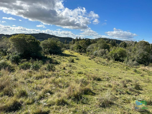 Imagen 22 de 24 de Lindo Campo Para Fraccionar, Sobre Ruta Y A Poco Mas De 1 Hora De Punta