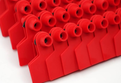 Pack X 100 Crotal Arete Para Cerdo 4x5 Cm Sin Numerar