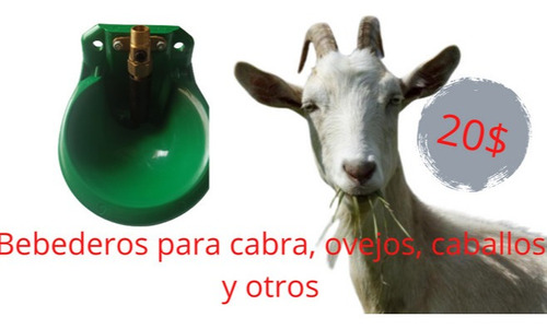 Bebederos Para Cabras . Chivos Caballos Y Otros 