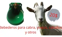 Comprar Bebederos Para Cabras . Chivos Caballos Y Otros 