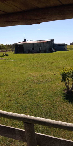 Buena Propiedad En Canelón Chico.