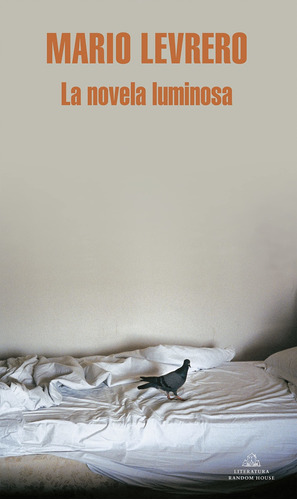 Novela Luminosa, La - Mario Levrero