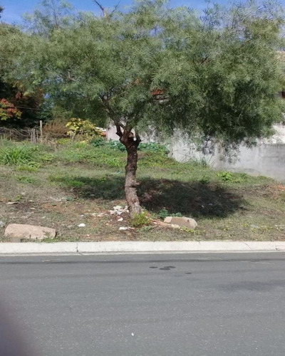 Imagem 4 de 4 de Vende Terreno Bairro Residencial Das Flores 175m2 - Ótima Localização - Te00081 - 33645302