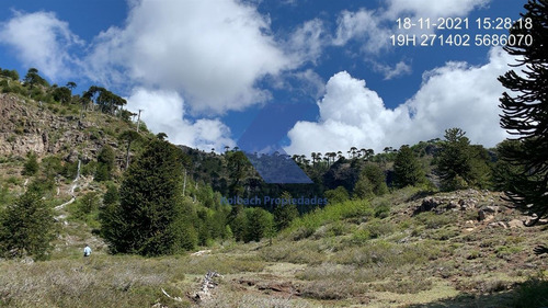 Hermoso Terreno Cordillerano En Venta En Melipeuco