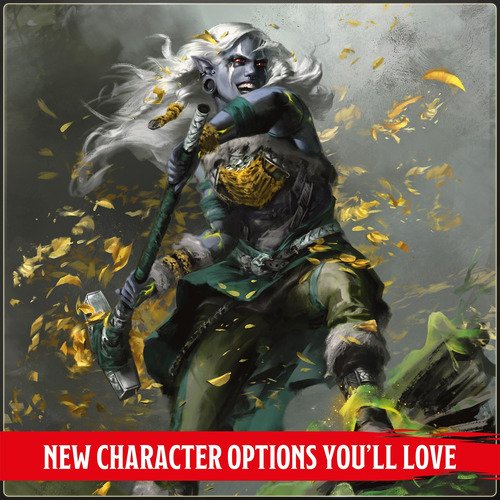 Libro: Manual Del Jugador De Dungeons & Dragons 2024