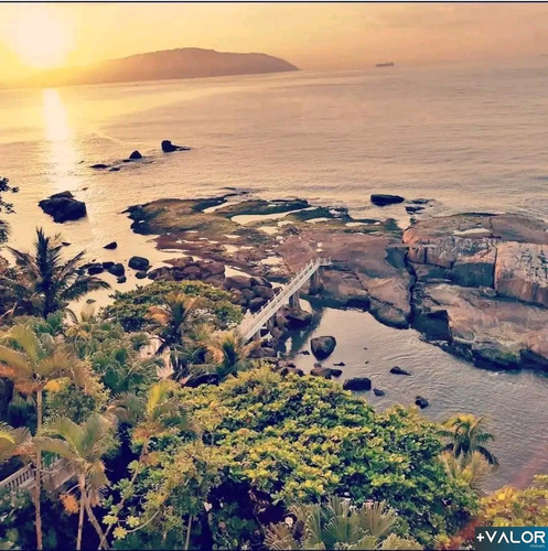 Imagem 15 de 30 de Apartamento Para Venda No Ilha Porchar, São Vicente - Lo460 - 70378520