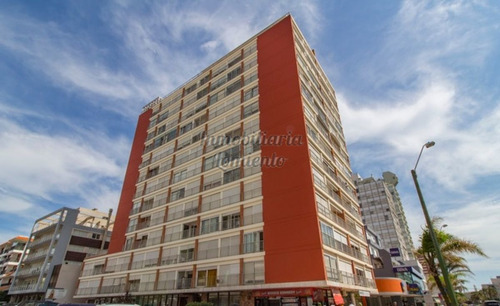 Imagen 12 de 12 de Venta Apartamento 1 Dormitorio En Peninsula