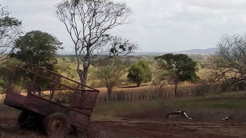 Imagen 17 de 30 de Finca En Mirimire Estado Falcon De 941 Hectáreas