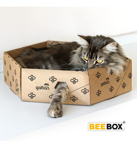 Caixa Hexagonal De Papelão Beebox Para Gatos