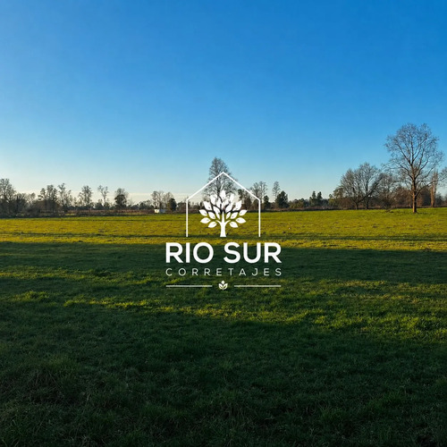 Campos 5 Ha Trapi Rio Bueno