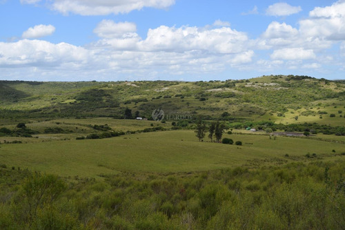 Imagen 12 de 20 de Venta Chacra Sierra Ruta 39 Aigua Sierra De Los Caracoles