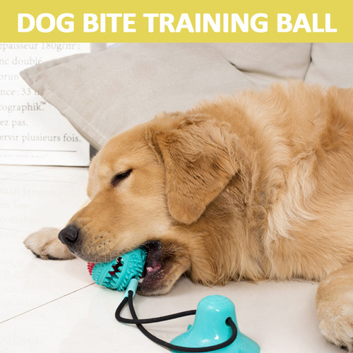 Pelota De Entrenamiento Dog Bite: Juguete Multifunción Para