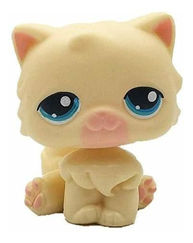 Cute Cream Big Face Cat Ojos Azules Y Los Ojos Blqn5