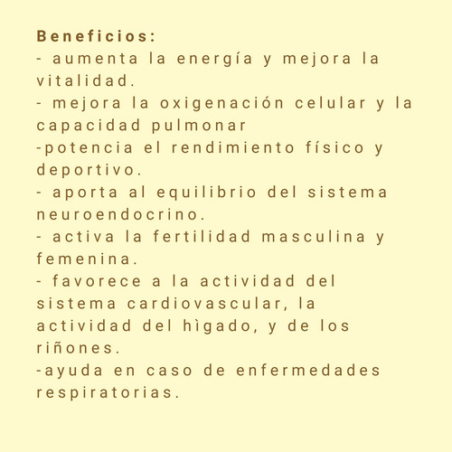 Hongos Adaptógenos X3 - Reishi, Cordyceps, Melena - 100mlx3 Adaptógenos 1