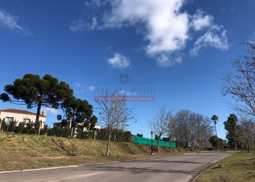 Imagen 8 de 11 de Exclusivo! Lote A La Laguna En La Isla Del Área 1 San Matias