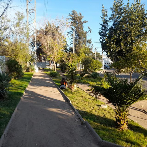 Casa Los Mañios/el Olivillo