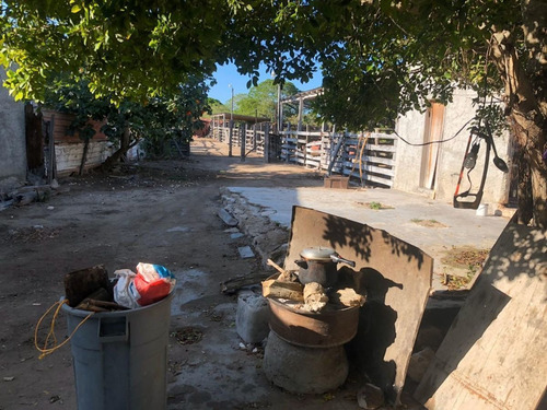 Imagen 12 de 16 de Terreno En Venta En Puerto Progreso, Yucatán