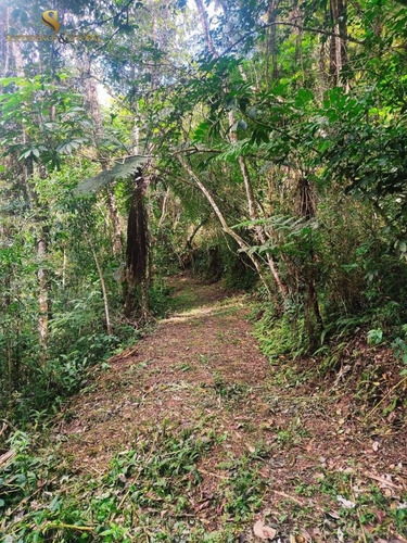 Imagem 11 de 30 de Sítio Em Santa Isabel - Sp