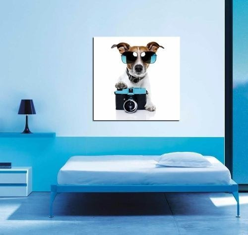 Cuadro 60x60cm Perro Fotografo Camara Funny Pet Dog Lentes