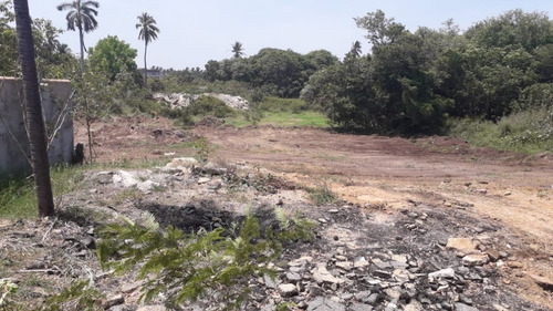Imagen 2 de 3 de Terreno En Venta En Ejido La Zanja