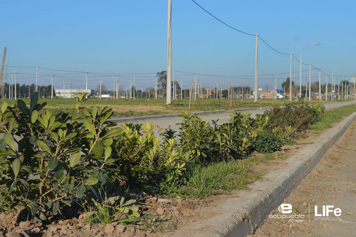 Imagen 15 de 15 de Venta - Lote De 270m2 - Barrio Abierto Residencial - Alvear