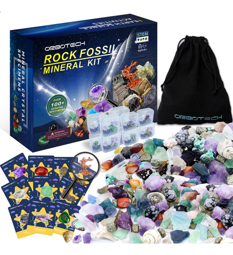 Orbotech Kit De Rocas Y Fosiles, La Caja De Coleccion De Roc