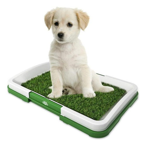 Tapete Mediano Para Mascota Entrenamiento Baño Puppy Potty