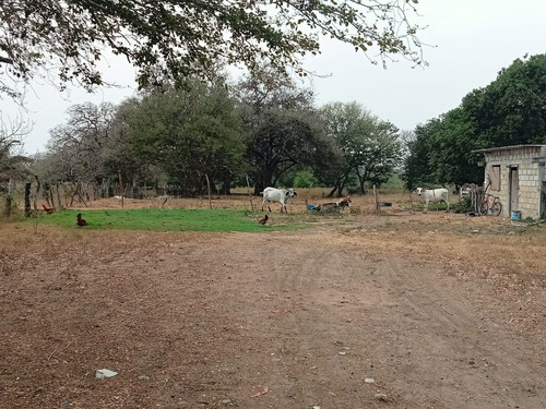 Terreno En Venta En Veracruz Ideal Para Inversión En Mata Cocuite Ver.