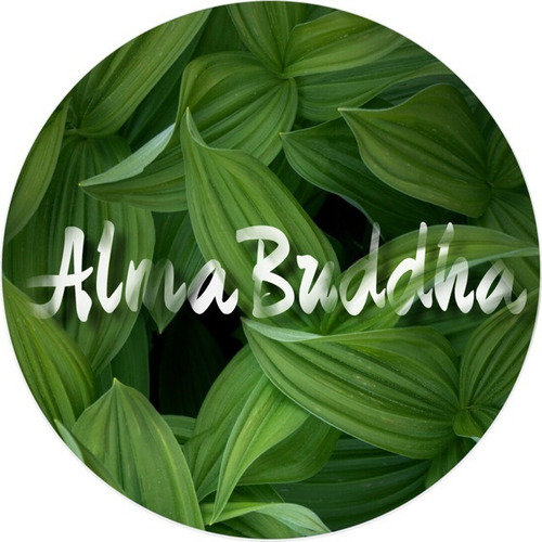 Set Familia De Búhos Decoración Feng Shui Almabuddha Plateado