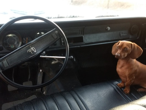 Opala 2.5 4cc L