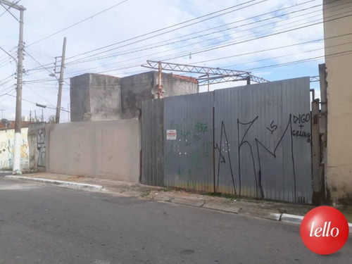 Terreno - Ref: 210440