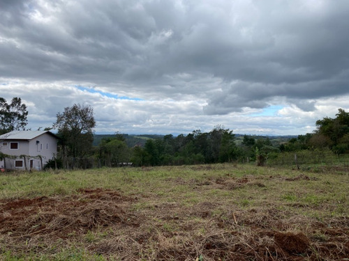 Chácara 10.000 M² - Lomba Grande - Novo Hamburgo - Rs - 2117 - 33898402