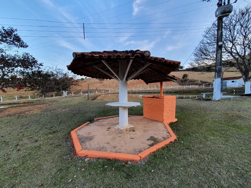 Imagem 17 de 30 de Chácara 33200m2, Rica Em Água Com Lagos, Casa Sede Com 4 Dormitórios, Lazer Completo, Escritório, Sauna, 3 Baias, Pastagem Formada - Ch00281 - 71010694