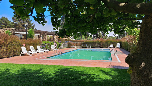 Arriendo Depto Familiar, Bosques De Montemar (82647)