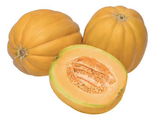 100 Sementes Melão Caipira Gaúcho Aromático.