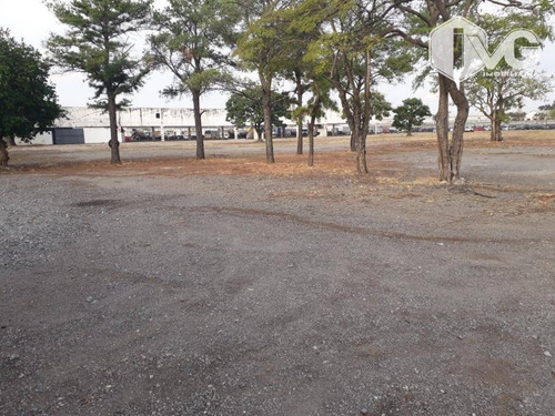 Imagem 3 de 5 de Terreno Para Alugar, 15000 M² Por R$ 45.000,00/mês - Várzea Do Palácio - Guarulhos/sp - Te0278