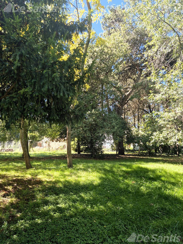 Terreno En Bosque Peralta Ramos