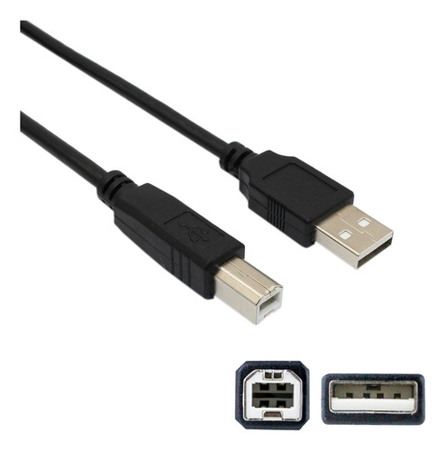 Lunling Cable De Usb A Macho A B Macho De 10 Ft Cable De Tr