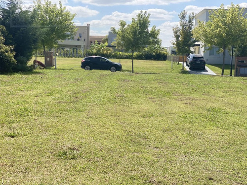 Imagen 6 de 8 de Lote Interno En Venta. Tipas , Nordelta.
