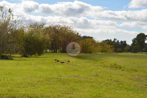 Imagen 13 de 30 de Terreno Lote En Venta Ubicado En Manuel B Gonnet, La Plata