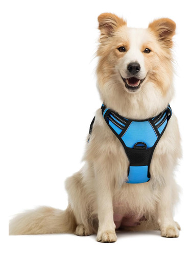 Arnés Para Perro Rabbitgoo Ajustable No Tirar Talla M